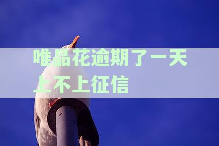 唯品花逾期一天、三天及长期未还的征信影响与应对策略解读