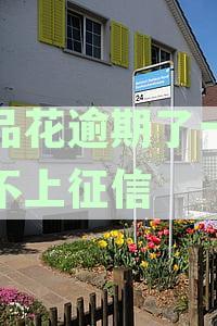 唯品花逾期了，每个月稍微还点可以吗：探讨逾期还款的后果与合理解决方案
