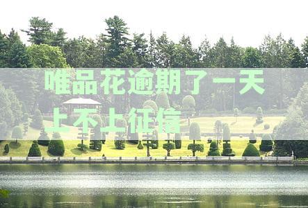 品花逾期还款会上征信吗？详解逾期还款对信用及消费后果的影响与资讯