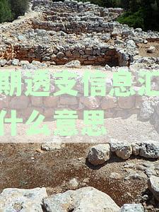逾期透支信息汇总是什么意思：征信逾期透支信息总汇解读