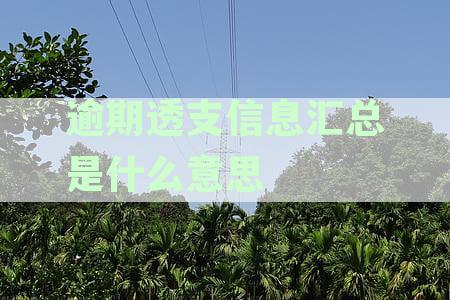 个人信用卡逾期与透支信息汇总：征信报告中的什么资讯一目了然