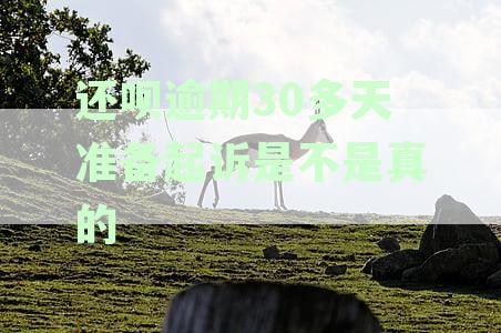还呗逾期超30天面临起诉风险：真实情况解读与应对策略分析