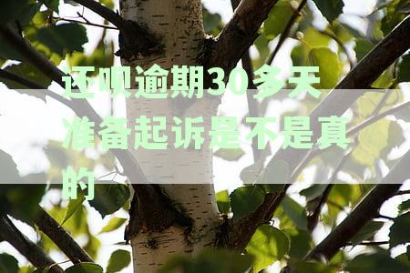 还呗逾期超30天，是否真的准备启动起诉程序？最新资讯揭秘