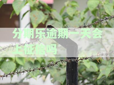 分期乐逾期一天会上征信吗征信上面体现什么-分期乐逾期一天上征信吗?