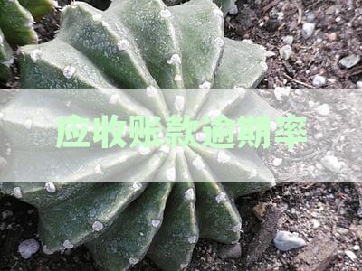 应收账款逾期率