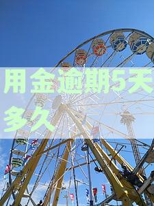 支付宝备用金逾期五天会有哪些严重后果