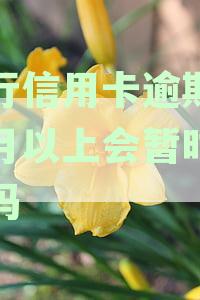 工行信用卡逾期两个月以上会暂时冻结吗