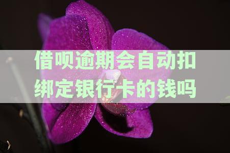 逾期未还款，借呗是否会自动从银行卡里扣除银行存款？最新资讯解读