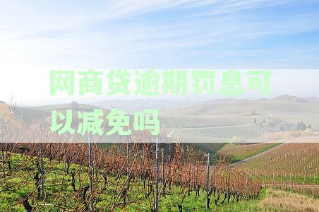 网商贷严重逾期,可以商量减免吗：逾期还款能否协商只还本金？