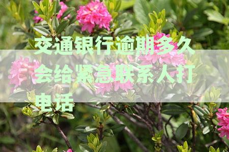 交通银行逾期多久会给紧急联系人打电话