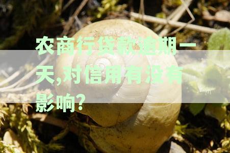 农商行贷款逾期一日，还款对征信有无影响及潜在后果分析