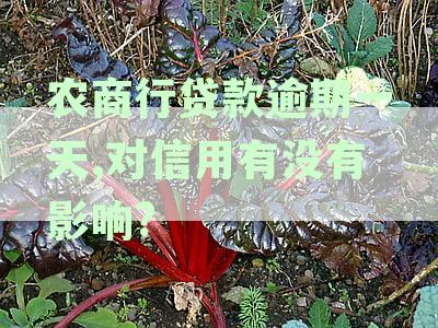 农商银行用户贷款逾期仅一天，不会影响信用记录，不会立即上征信