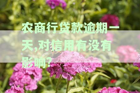 农商贷款逾期一天对信用记录及贷款影响深度解析：如何避免及应对逾期风险