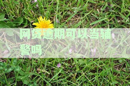 '逾期网贷是否影响征信，是不是还能成为辅警？'