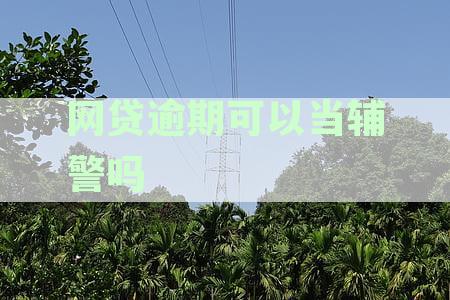 探讨网贷逾期记录对报考辅警岗位的影响及应对策略