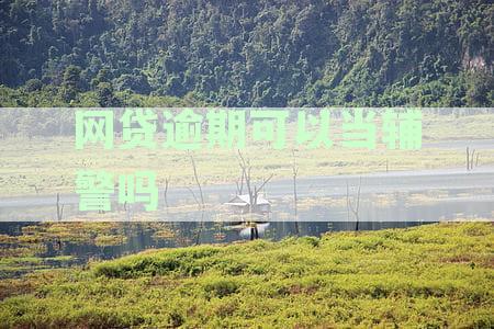 网贷逾期可以考警察吗——现在及公务员、事业编影响解析