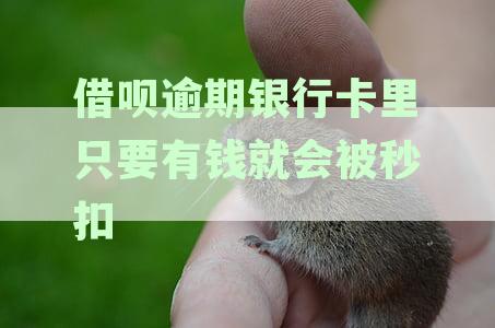 借呗逾期银行卡里只要有钱就会被秒扣嘛，逾期后还会不会直接扣款怎么办？