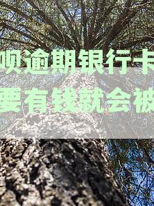借呗逾期银行卡里只要有钱就会被秒扣