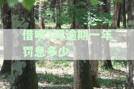 借呗3万逾期一年罚息多少