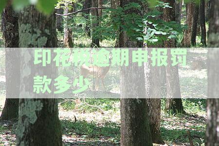 印花税逾期申报罚款多少：合理标准与处理方法