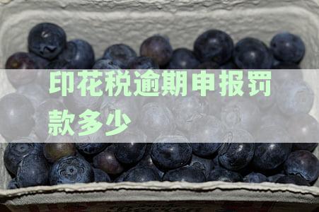 印花税逾期申报罚款多少