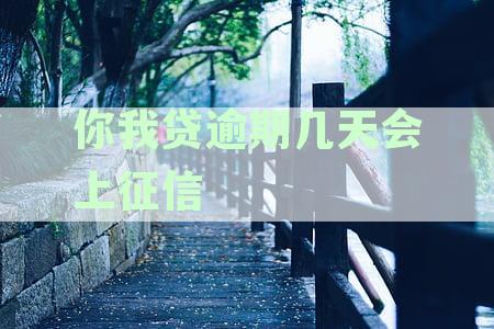 全面解读：你我贷逾期多久及何种情况下会上征信记录，附逾期处理指南