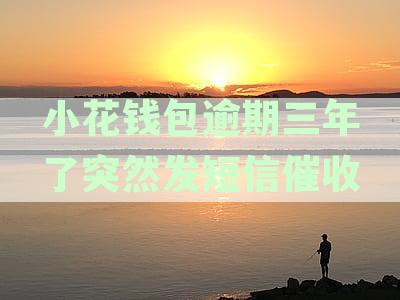 小花钱包逾期两年多催收升级：频繁发送法院传票及法律警告信息应对指南