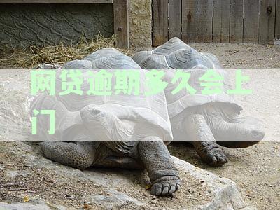 网贷逾期多久会上门