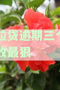 微粒贷逾期三个月会被暴力催收吗及逾期三个月催收措与法律风险分析