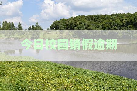 校园销假逾期处理指南：不同情况下的逾期时长与解决对策