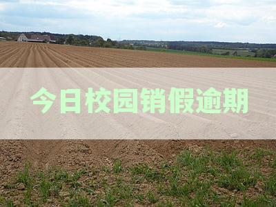 校园销假逾期处理指南：后果、解决办法与预防措全解析