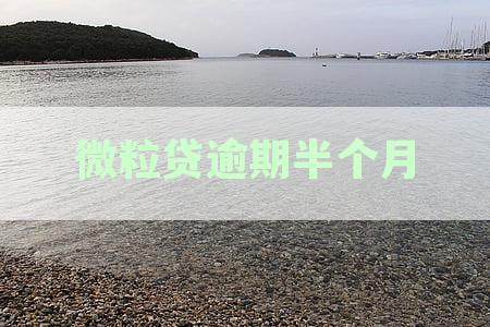 微粒贷逾期半月全方位解析：逾期后果、影响与应对策略