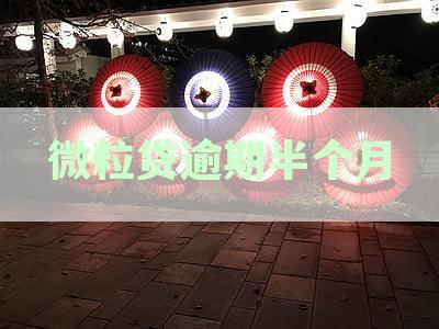 微粒贷逾期还款后，还清借款能否继续使用？逾期还款对借款影响解析资讯