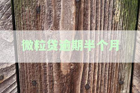 微粒贷逾期半个月说起诉我：逾期2个月将起诉法院，逾期期间会联系家人吗？