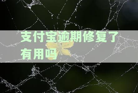 支付宝逾期修复了有什么好处-支付宝逾期修复了有用吗
