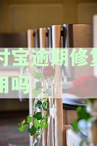 支付宝逾期修复了有用吗
