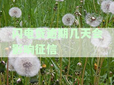 招商银行闪电借款逾期一天，还款记录几天内会影响个人信用征信吗？