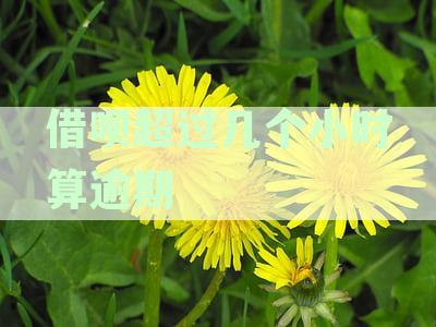 借呗逾期时长解析：详述超时几分至几小时算逾期及其后果