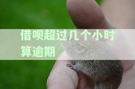 借呗逾期多久天上征信记录，支付宝支付逾期会上征信的具体时长解析