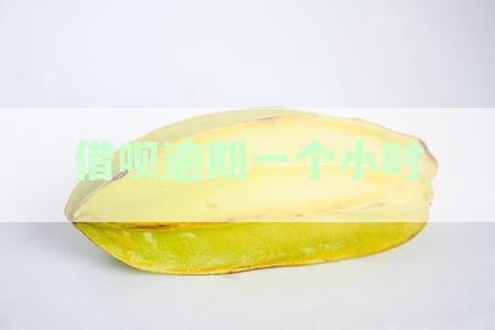 借呗逾期一个小时