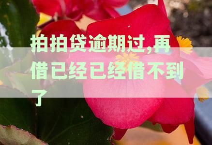 拍拍贷有逾期已经续在解决了,还会被起诉吗怎么办？