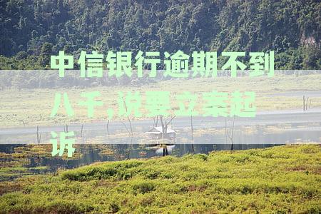 中信银行信用卡逾期5000元是否会启动法律诉讼程序及应对策略详解