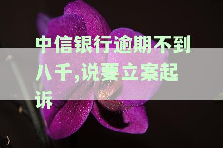 中信银行逾期多久会被起诉：真实案例解析起诉成功率及账户冻结风险