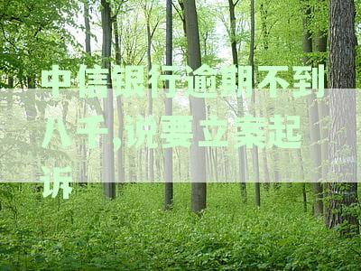 中信银行信用卡逾期3000，怎么处理欠款避免被银行起诉，维护信用记录