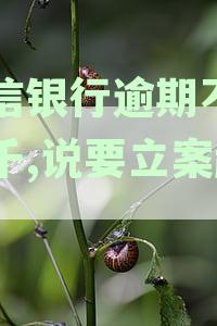 中信银行逾期不到八千,说要立案起诉
