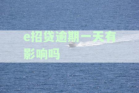 招行招贷逾期两天：招商银行信用卡宽限期影响及还款策略解析