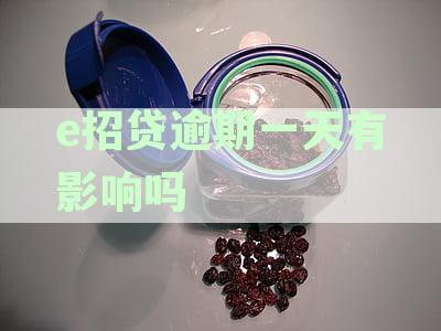 e招贷逾期一天有影响吗
