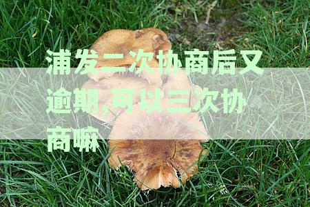 浦发二次协商后又逾期,可以三次协商嘛怎么办-浦发二次协商后又逾期,可以三次协商嘛怎么办