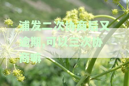 浦发银行信用卡二次协商后逾期还款还能再次成功协商怎么办？