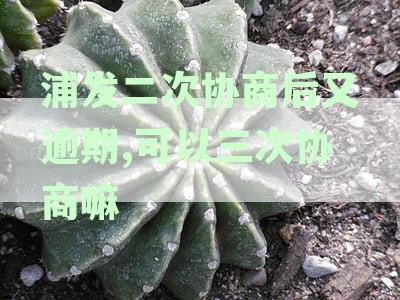 浦发二次协商后又逾期,可以三次协商嘛